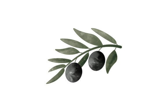 Olive Branch Watercolor: A Versatile Design Asset